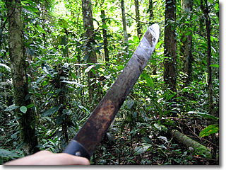 Equador - Amazon