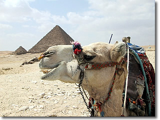 Egypt - Pyramids
