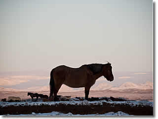 Iceland - Golden triangle